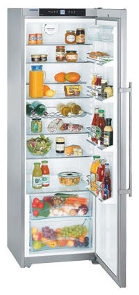 Холодильник Liebherr Kes 4270